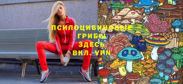 PSILOCYBIN Беломорск