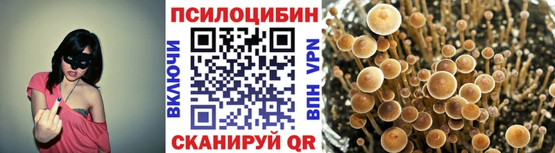 Псилоцибиновые грибы Magic Shrooms  нарко площадка состав  Лабинск 